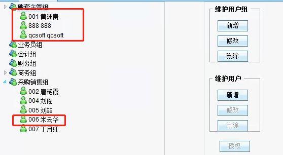 甲公司将其开发的财务软件