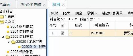 雨佳财务软件如何查看辅助代码