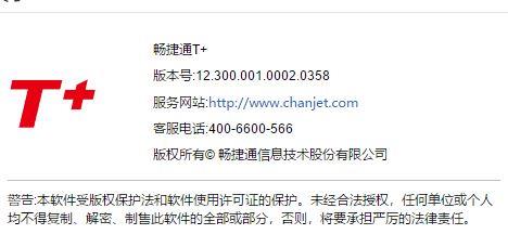 用会计软件打印账簿