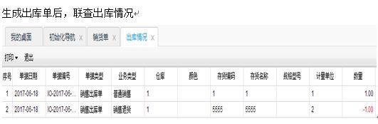 新中大财务软件账页打印