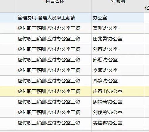 mnc财务软件有哪些