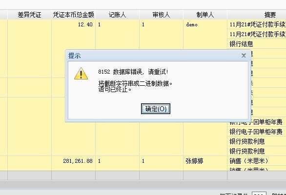 公司财务软件的实施方案