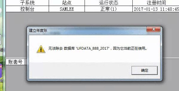 会计专业软件vb